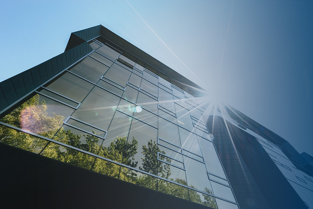 pexels-scott-webb-305833-1