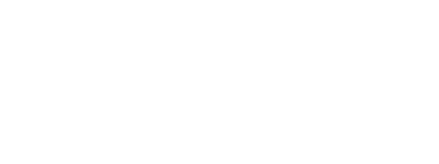 Fidelix Analytics logo-rgb-horizontal WHITE